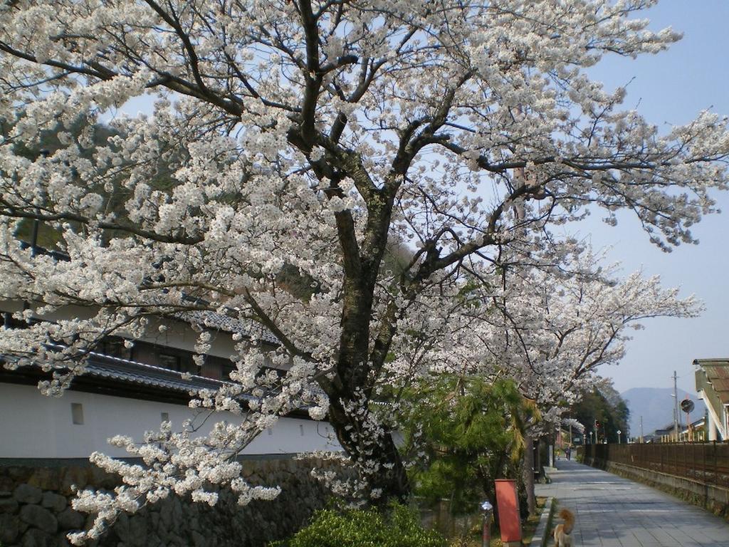 Terakoya Hanatei Asago Exterior foto